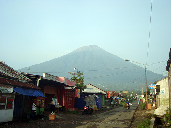 Mount Slamet seen from the market